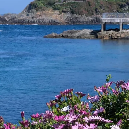 El Pixueto Amarillo Semesterbostad