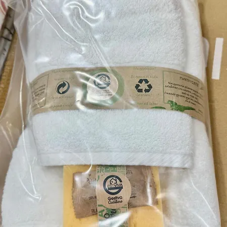 El Pixueto Amarillo * Cudillero