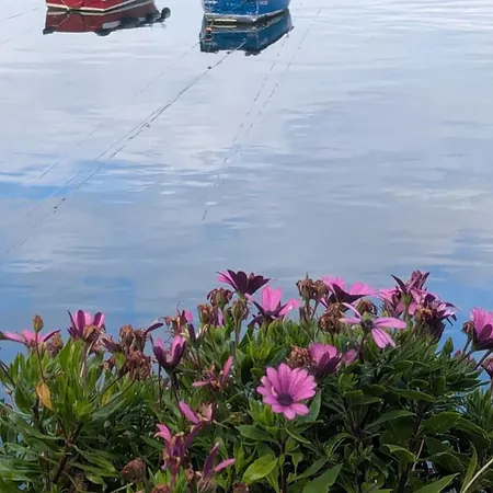 El Pixueto Amarillo Ferienhaus